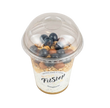 Yogurt with granola
